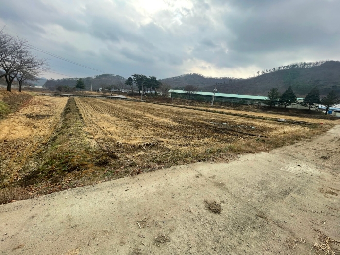 충청북도 청주시 농지 경매/청주시 상당구 미원면 성대리 토지 경매/대전경매/사건번호{2021타경 7606}